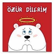 Özür Dilerim