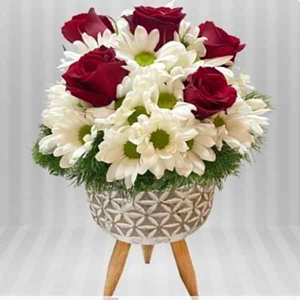 Ayaklı Saksıda Papatya & 5 Gül