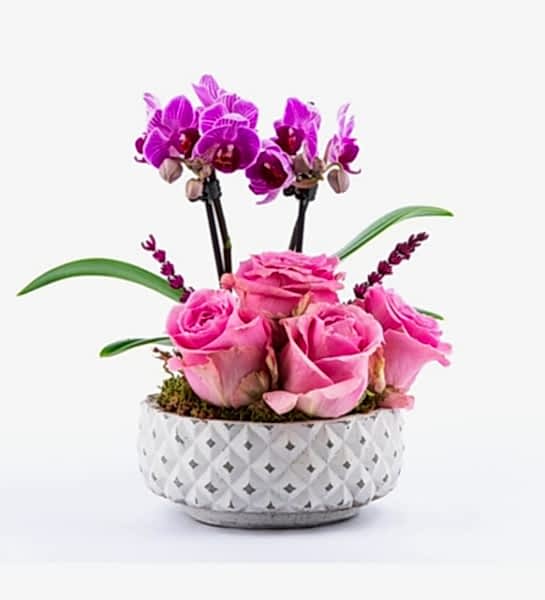 4 Pembe Gül Ve Mor Orkide