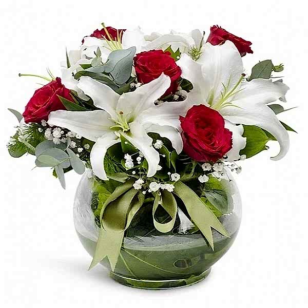 Fanusta Lilyum Dansı