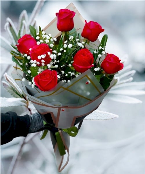 7 Adet Kırmızı Gül Buketi