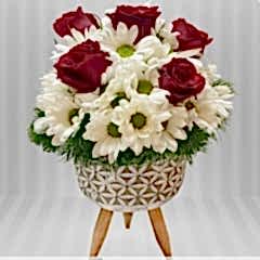 Ayaklı Saksıda Papatya & 5 Gül