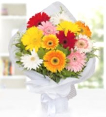 Renkli Gerbera Buketi