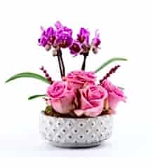 4 Pembe Gül Ve Mor Orkide