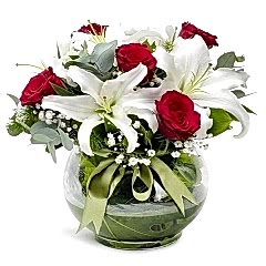 Fanusta Lilyum Dansı