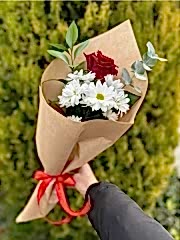 Ögretmenler Günü Papatya & Gül